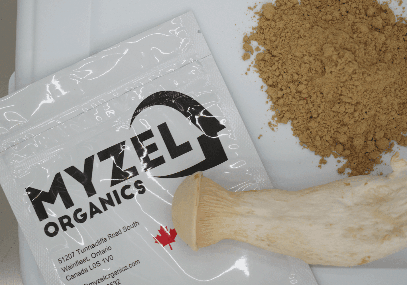 The Canadian Functional Mushroom Ingredient Supplier You Should Know in 2026