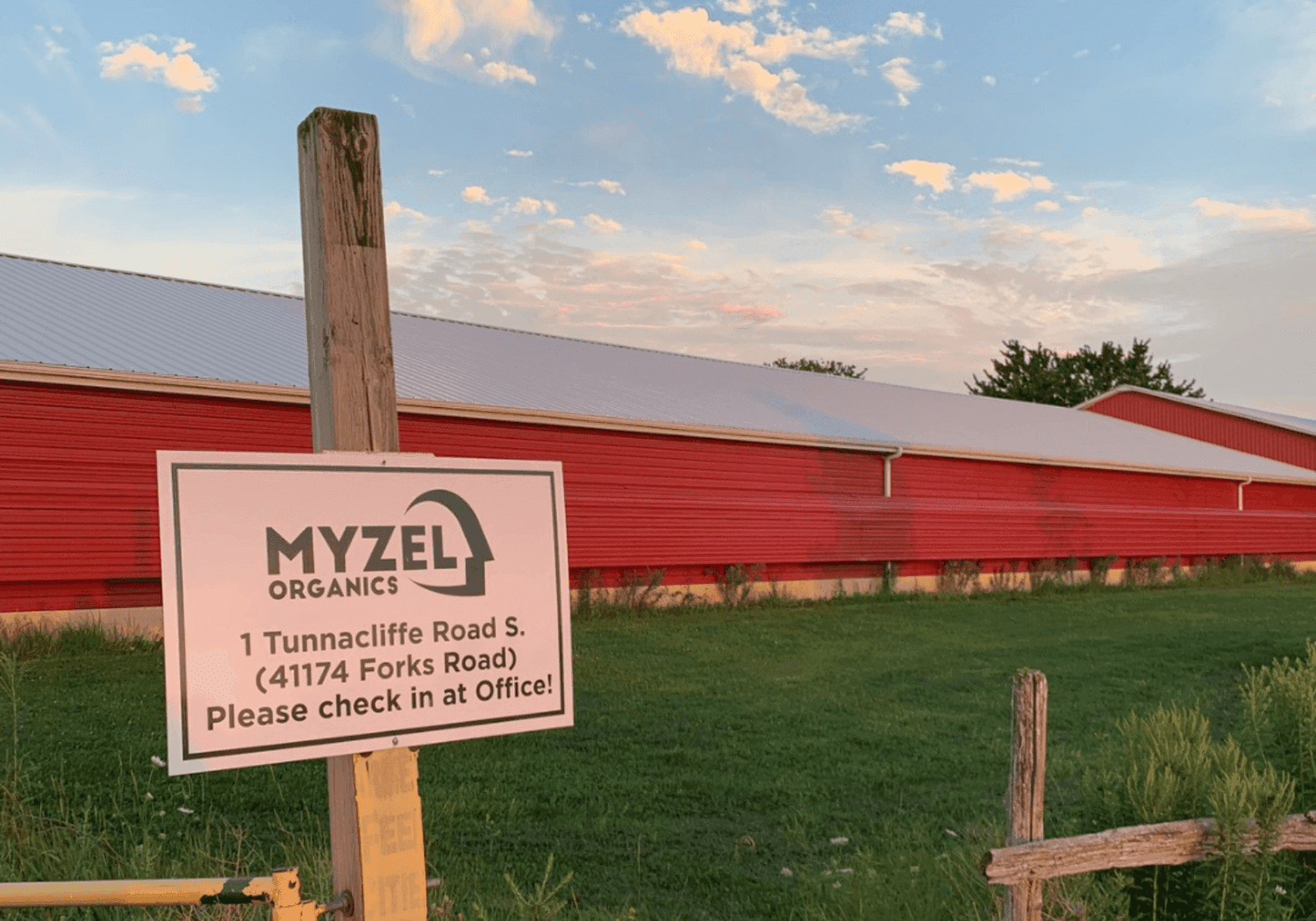 Assessing Myzel’s Environmental Impact