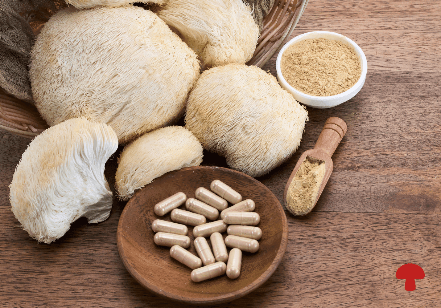 Full-Spectrum Mushroom Powders vs. Isolated Extracts: The Whole Mushroom Matrix Advantage