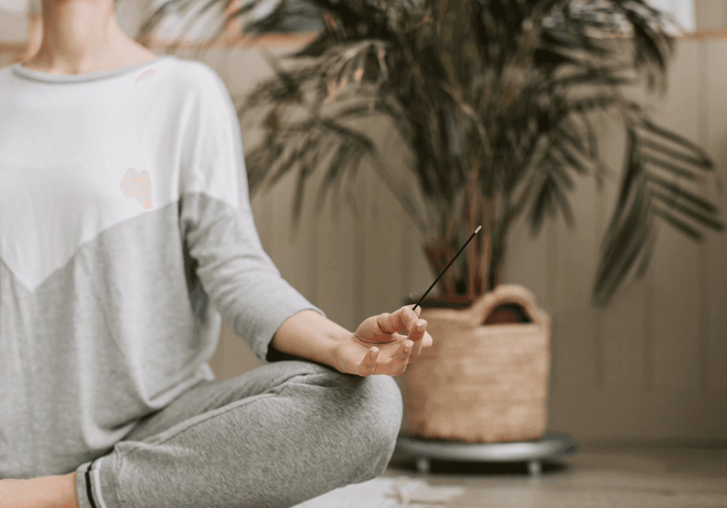 Functional Mushrooms and Mental Health