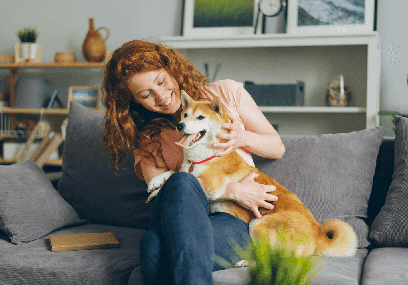 Functional Mushrooms for Pet Care