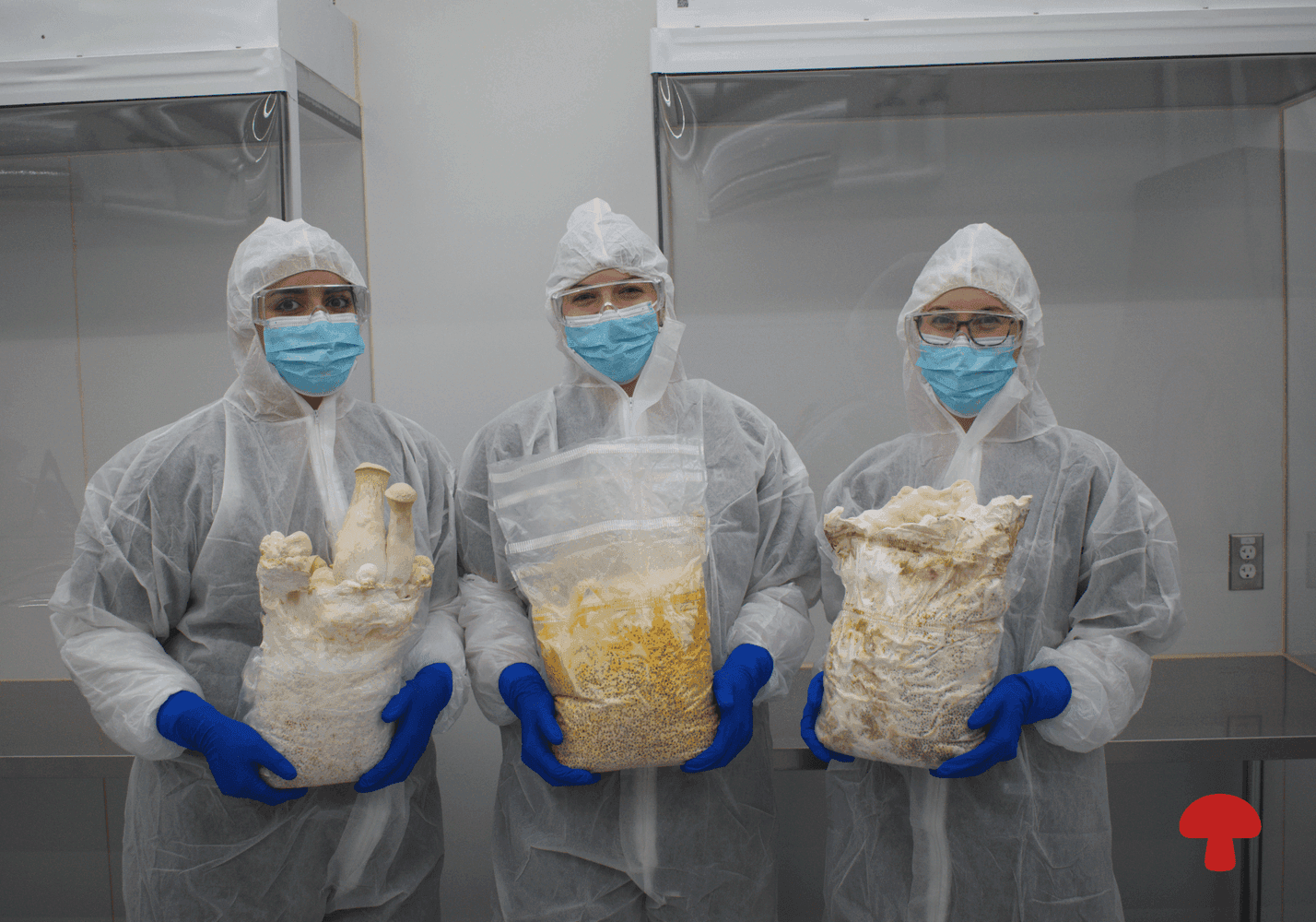 The Hidden Footprint in Your Mushroom Supplement (And Why Where It's Grown Matters)