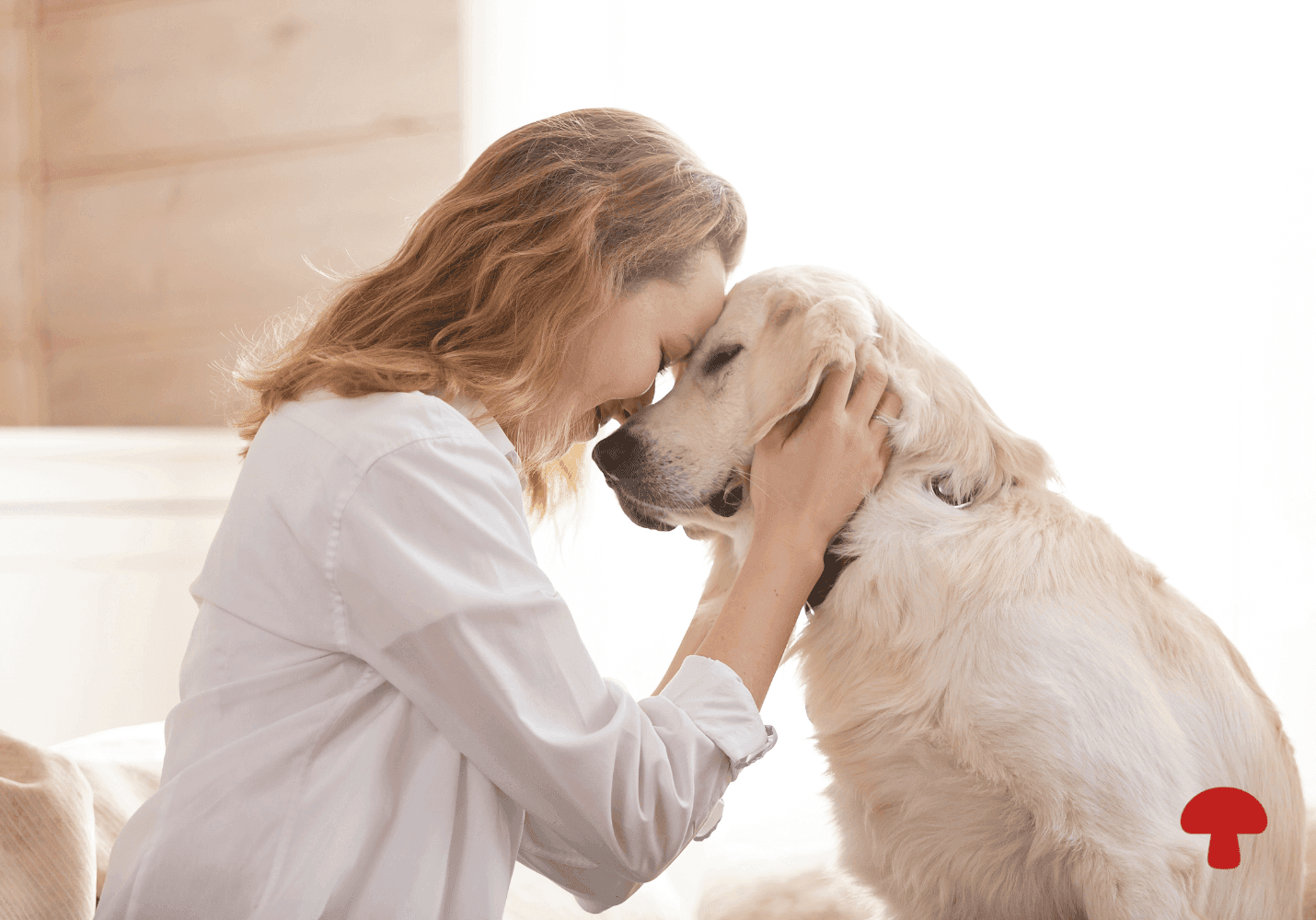 The Humanization of Pet Nutrition: Why Functional Mushrooms Are in Your Dog's Bowl