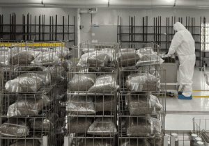 Where are Functional Mushrooms Grown?