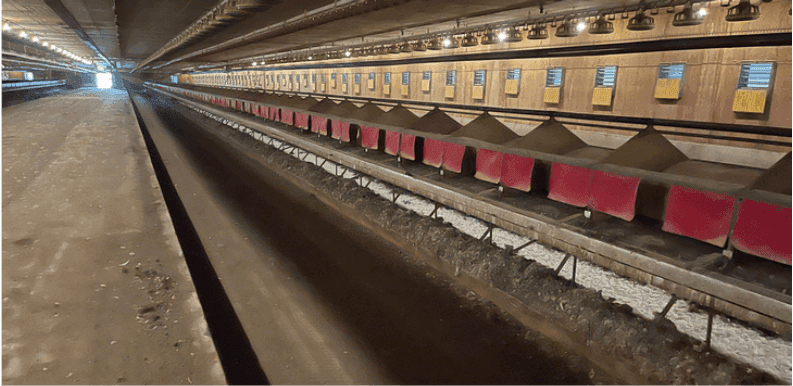 Interior of the poultry farm on the first day of renovation