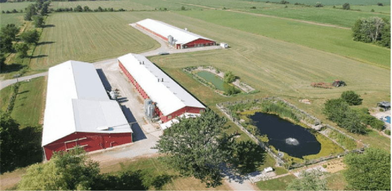Aerial view of the original poultry farm before conversion into the Myzel facility