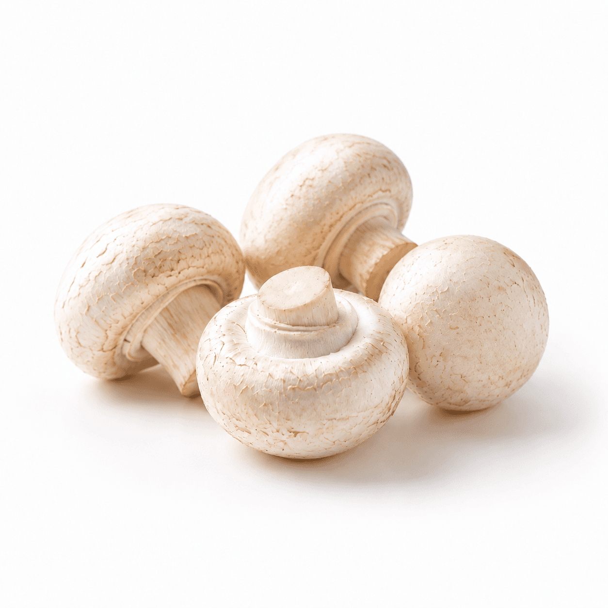 Organic Almond mushroom powder, full-spectrum, bulk supply