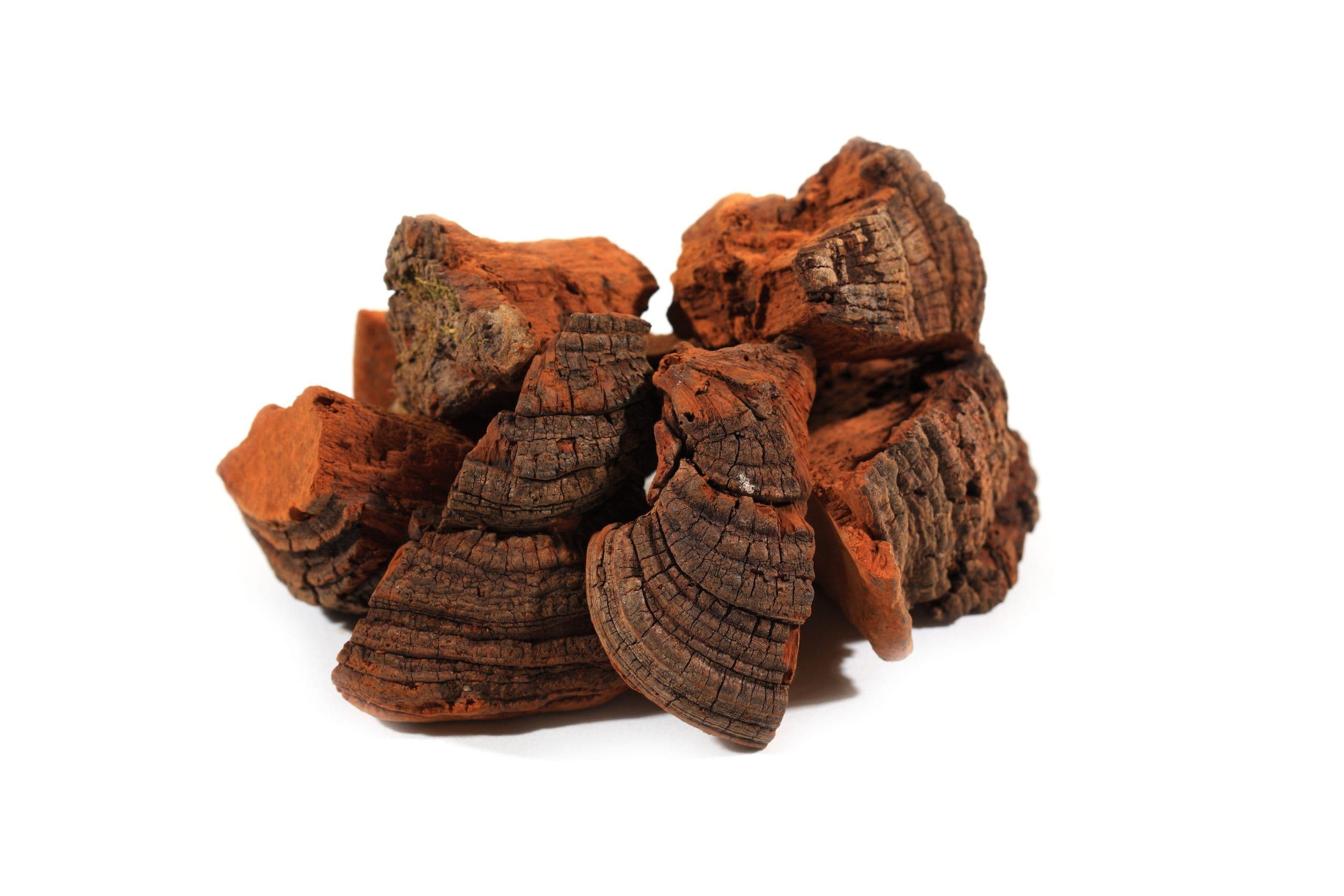 Black Hoof mushroom pieces, full-spectrum organic bulk supply
