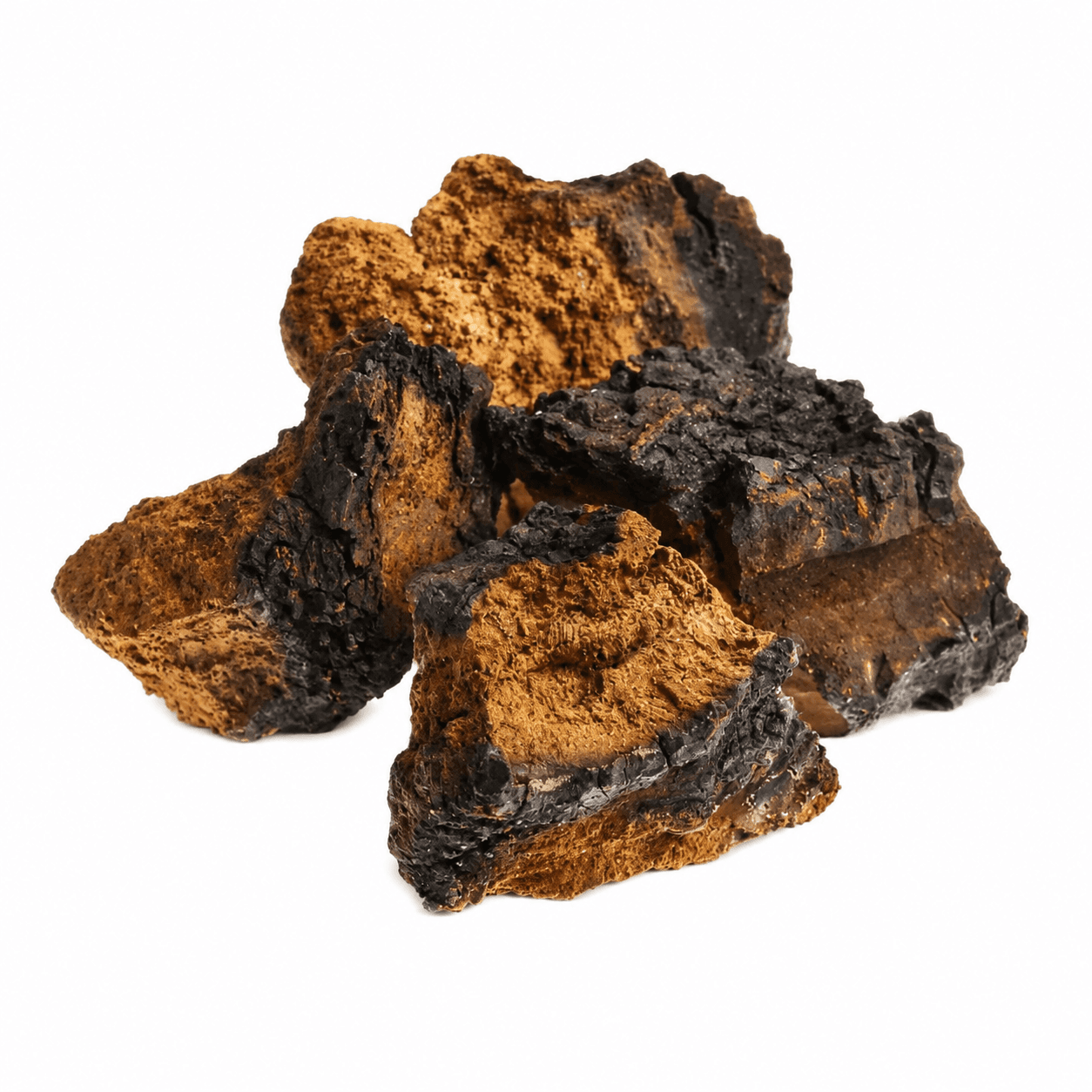Organic Chaga mushroom powder, full-spectrum, bulk supply