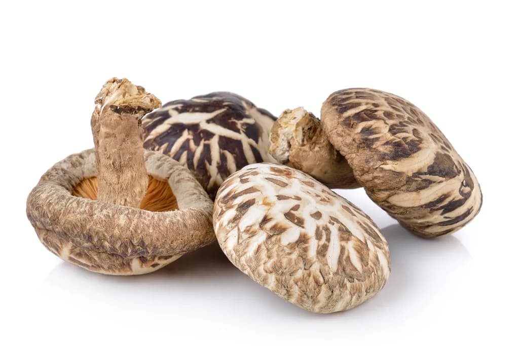 Organic Shiitake mushroom powder, full-spectrum, bulk supply