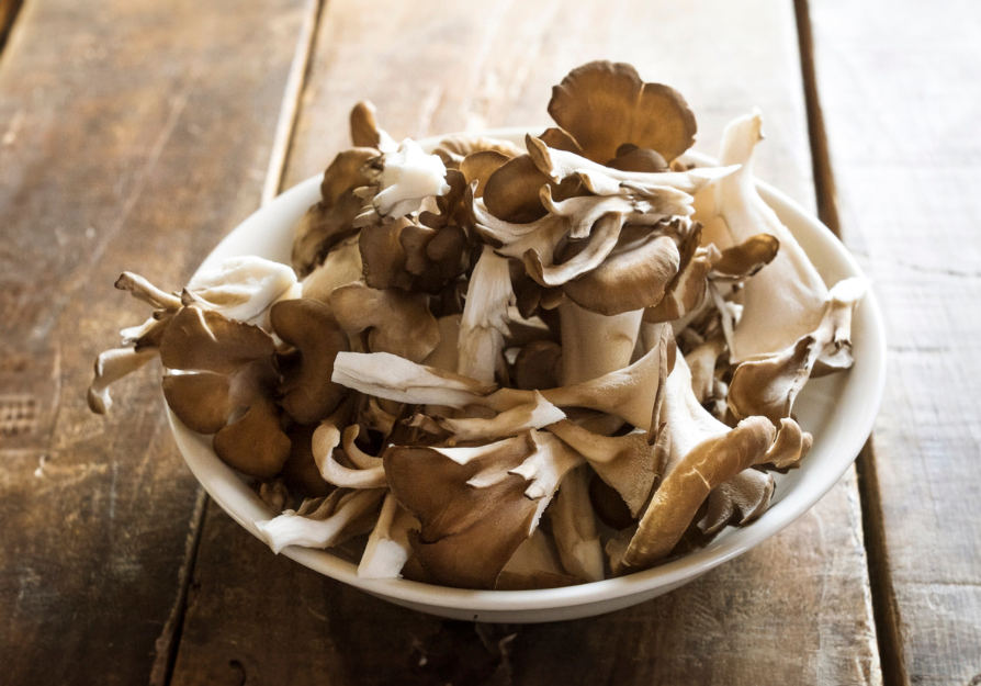 Maitake mushrooms, studied for gut and blood sugar support in pets