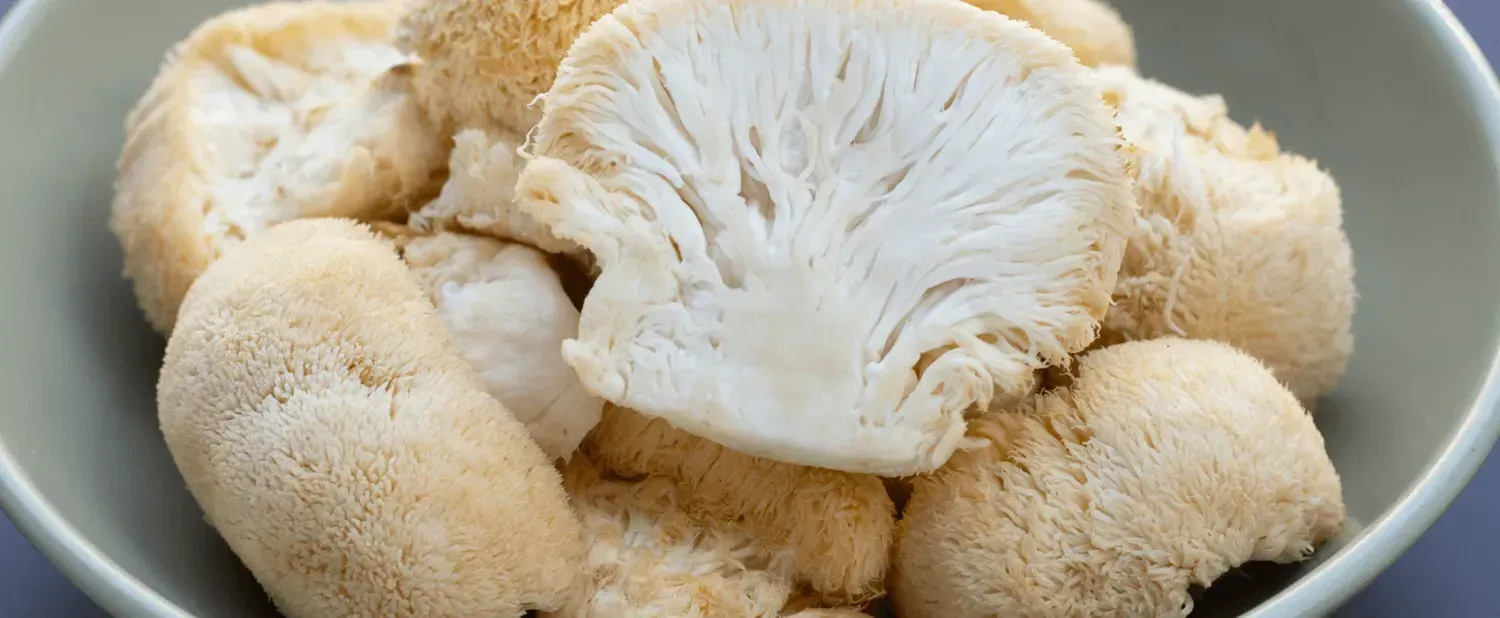 Functional Mushrooms and Mental Health