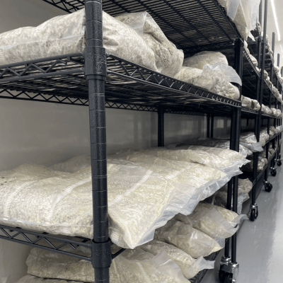Where are Functional Mushrooms Grown?