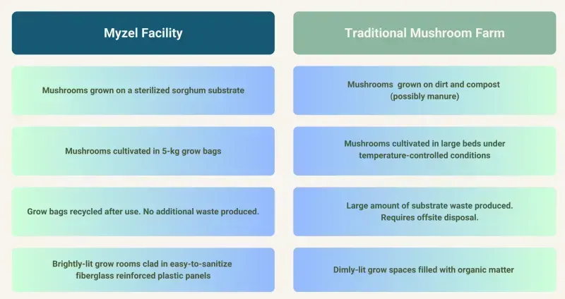 Where are Functional Mushrooms Grown?