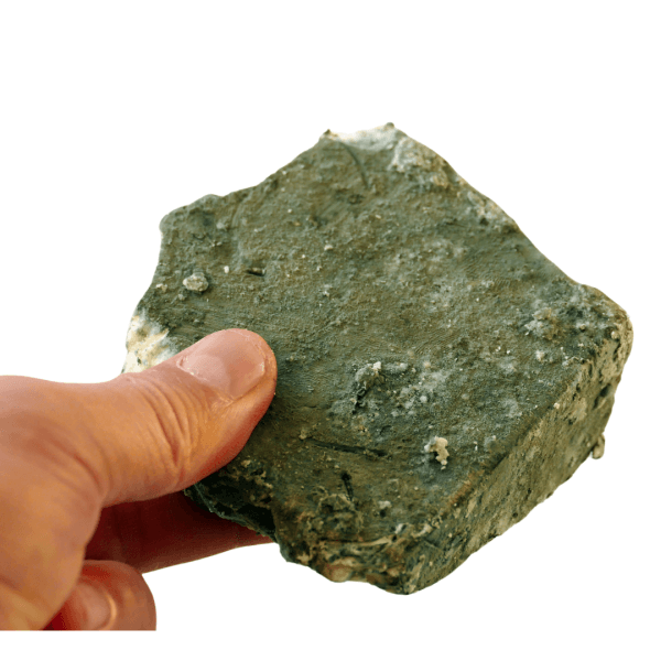 Pharmaceuticals Based on Mushroom Mycelium