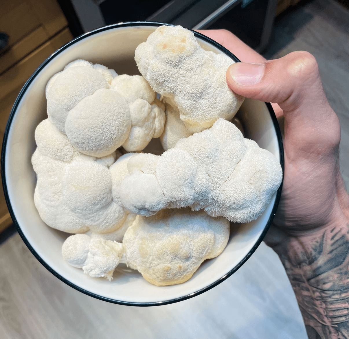 Functional Mushrooms and Mental Health
