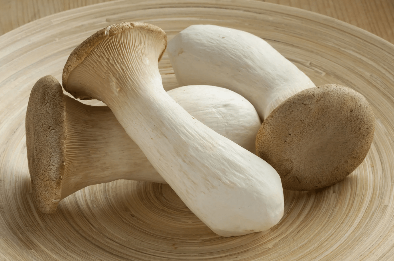 Reishi and King Oyster: A Functional Mushroom Approach to Seasonal Allergies in Dogs