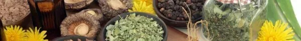 What Are Nutraceuticals?