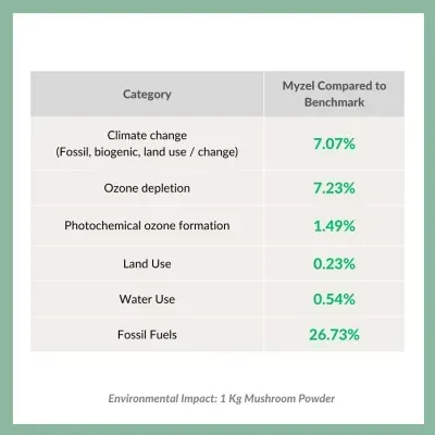 Assessing Myzel’s Environmental Impact