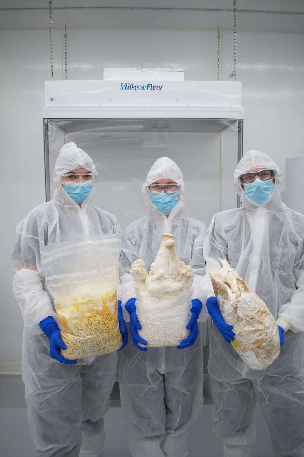 Full-Spectrum Mushroom Powders vs. Isolated Extracts: The Whole Mushroom Matrix Advantage