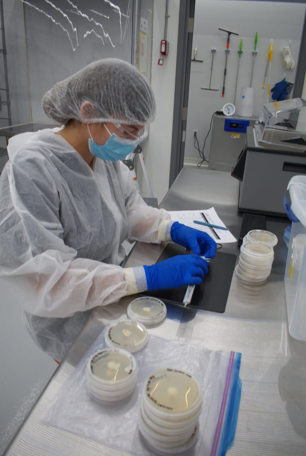 Beta-Glucans 101: Understanding How Functional Mushrooms Support the Immune System