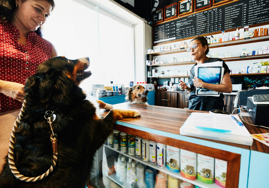 Choosing a functional mushroom supplement at the pet store